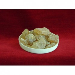 KOPAL MANIL, noris east