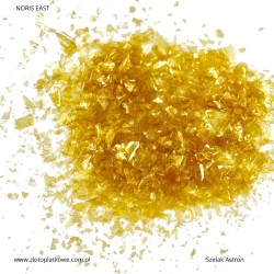 Szalek Astron, Noris East