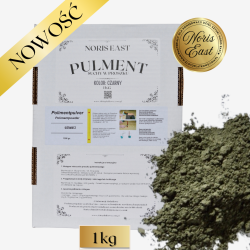 Pulment suchy w proszku, 1 kg – naturalna glinka do złocenia na połysk, technika tradycyjna, Noris East