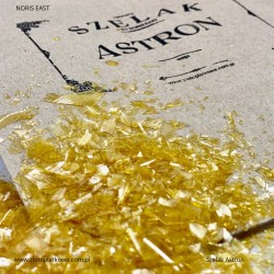 Szalek Astron, Noris East