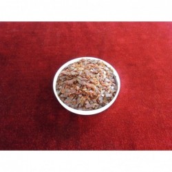 Szelak Orange premium s Noris East