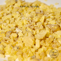 KOPAL MANIL, noris east