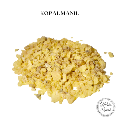 KOPAL MANIL, noris east