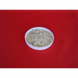 Guma damarowa, Dammar, Noris East,