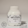 Klej Mixtion Akrylowy – Mleczko Akrylowe 100 ml | Do szlagmetalu i płatków metali
