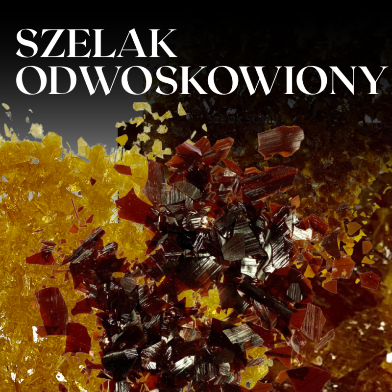 Szelak odwoskowiony